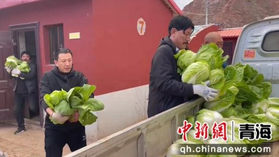 图为村民们将外销蔬菜装车。玛沁县委宣传部供图