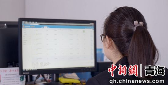 资料图为工作人员使用跨部门大数据办案平台。 青海省委政法委供图