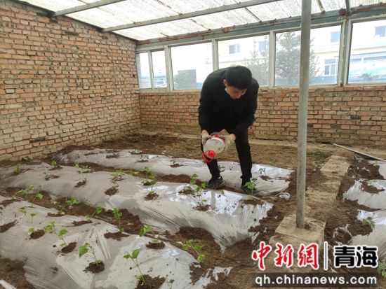 图为职工在对栽种蔬菜浇水。 罗维泰摄