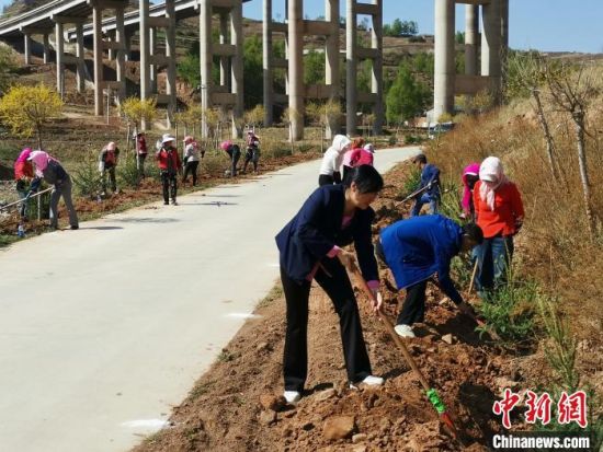 图为张宁参加美丽乡村示范村建设植树活动。　青海省药监局 供图