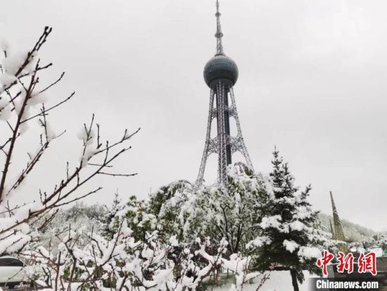 图为雪后的西宁市东方明珠塔。　李文华　摄