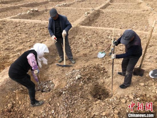 资料图为建行青海省分行绿化区施工队队员处理乱石。　建行青海省分行供图
