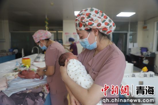  图为12个“国庆宝宝”在西宁市第一人民医院平安降生。西宁市第一人民医院供图