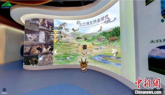 图为三江源国家公园数字展陈中的生物多样性展示。　张添福　摄