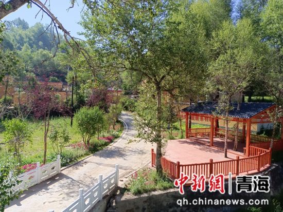 图为高原美丽乡村共和镇苏尔吉村一景。湟宣供图 图为高原美丽乡村共和镇苏尔吉村一景。湟宣供图