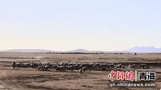 图为牧民群众赶着牲畜前往克其合滩牧场。河宣供图