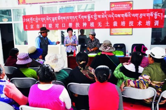 北京市妇联对口帮扶种植无土栽培技术培训现场