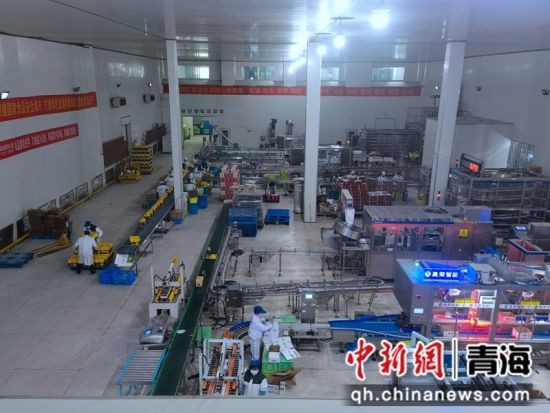 图为生产车间。张海雯 图为生产车间。张海雯