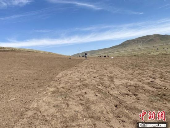 图为草场治理现场。马文莉供图 图为草场治理现场。马文莉供图