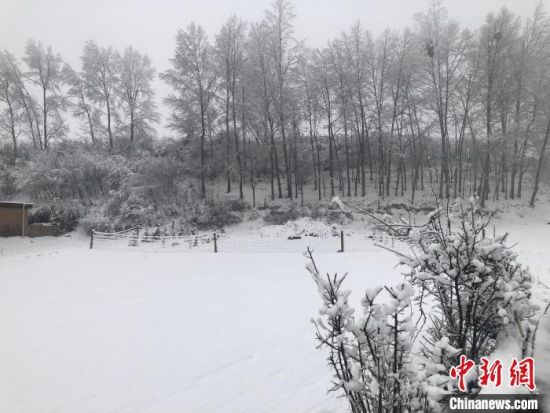 图为23日民和县乡镇降雪情景。 青海省气象局 供图