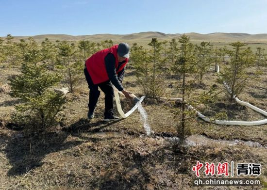 图为工作人员为种植的苗木浇水。兴宣供图 图为工作人员为种植的苗木浇水。兴宣供图