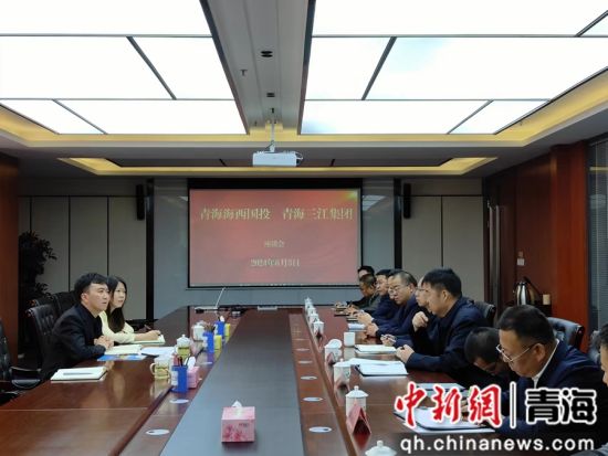 图为座谈会现场。海西国投 供图 图为座谈会现场。海西国投 供图