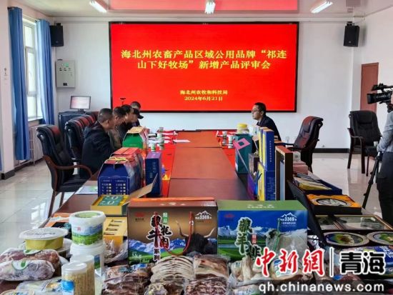 图为评选现场。海北州农牧和科技局供图 图为评选现场。海北州农牧和科技局供图