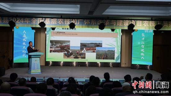 图为大赛现场。主办方供图 图为大赛现场。主办方供图