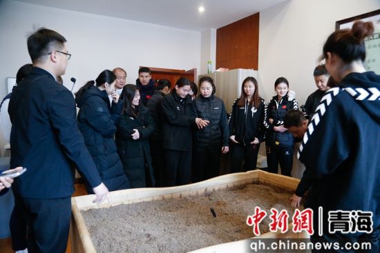 图为运动员、教练员在西宁市黄金海拔2200青藏高原康养中心参观了解中医热熥疗法。 马铭言 摄 图为运动员、教练员在西宁市黄金海拔2200青藏高原康养中心参观了解中医热熥疗法。 马铭言 摄